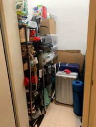 Oxley Edge (D9), Apartment #482798791
